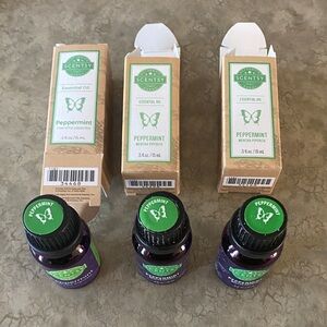 Scentsy Fragrance Oil ~ Peppermint